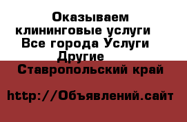 Оказываем клининговые услуги! - Все города Услуги » Другие   . Ставропольский край